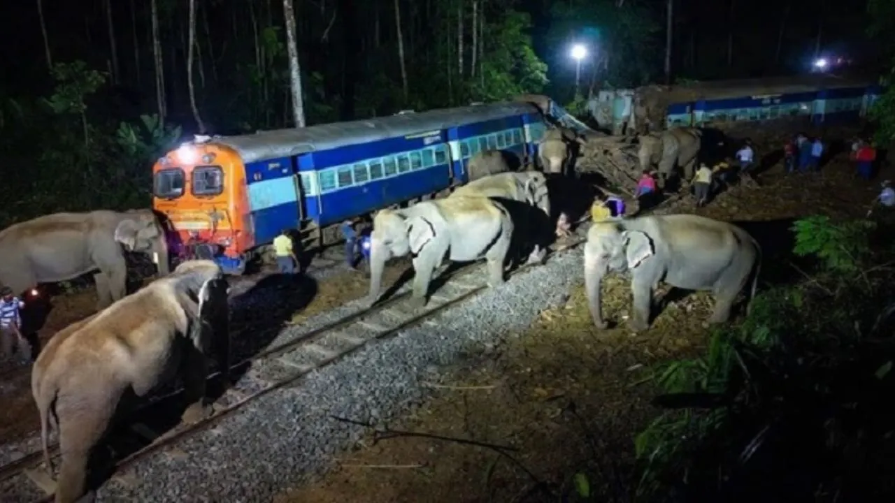 Train Derailed: हाथियों से टकराई ट्रेन, यात्री सुरक्षित, आठ हाथियों की दर्दनाक मौत, रेलवे ने बचाव किया