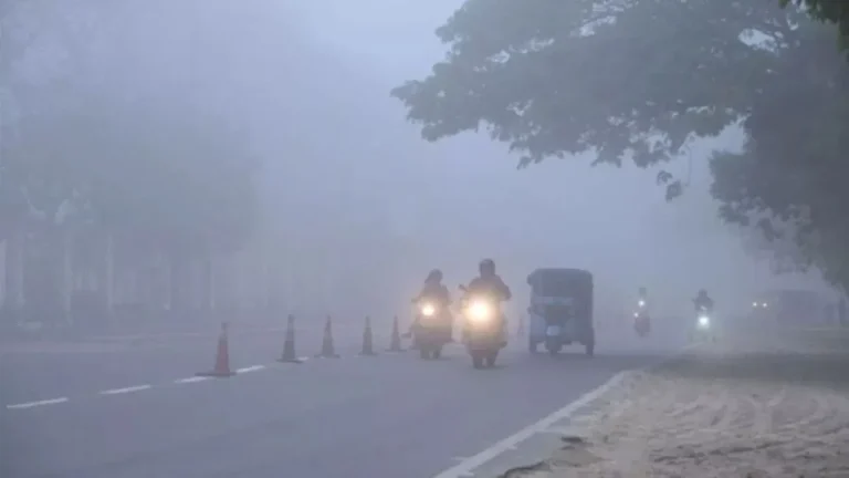 Haryana Weather: शीतलहर और धुंध का कहर, क्या हरियाणा में मौसम लेगा और खतरनाक मोड़?