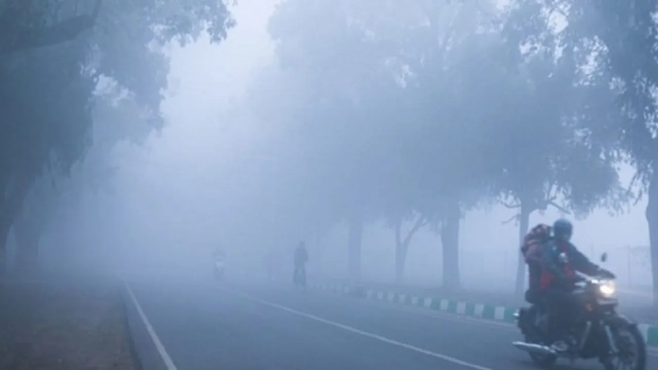 Haryana Weather: धुंध का कहर, कुरुक्षेत्र से रोहतक तक विजिबिलिटी नदारद, जानलेवा सर्दी का मंजर!
