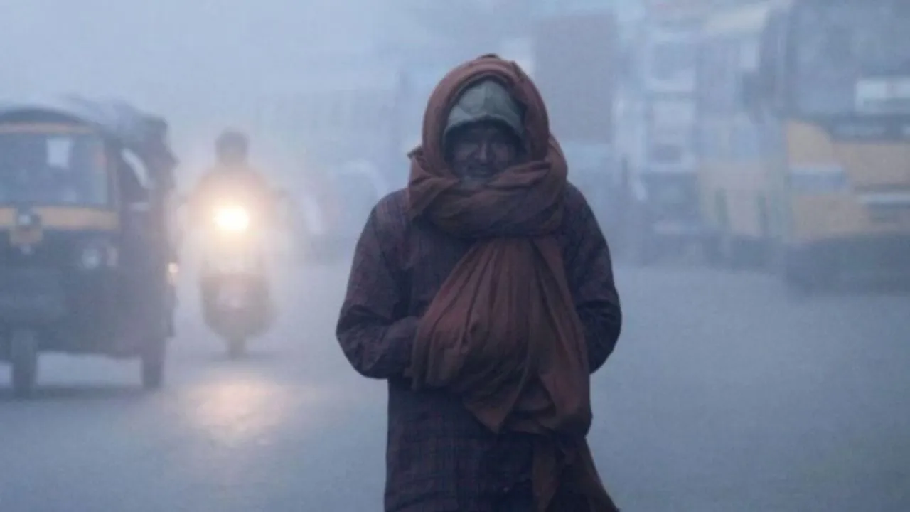 Weather Update: हरियाणा में कड़ाके की ठंड का कहर, घने कोहरे से थमी रफ्तार, विजिबिलिटी शून्य के करीब