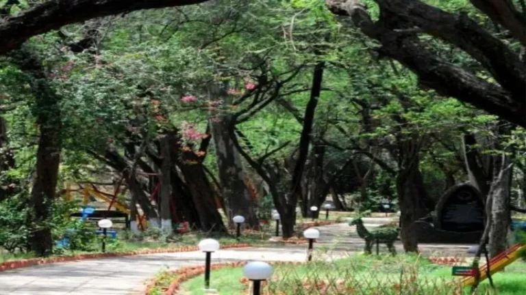 Delhi News: नगर वन पार्क परियोजना से दिल्लीवासियों को मिलेगा प्रकृति से जुड़ने का अवसर
