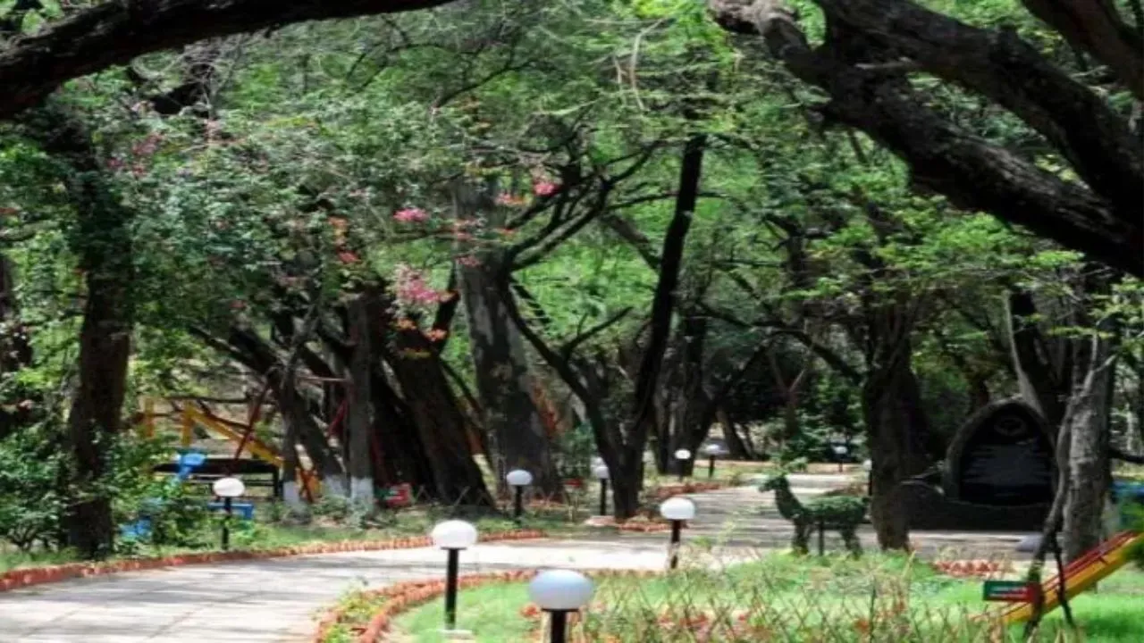 Delhi News: नगर वन पार्क परियोजना से दिल्लीवासियों को मिलेगा प्रकृति से जुड़ने का अवसर