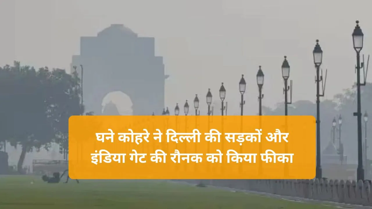 Delhi-NCR Weather: दिल्ली के घने कोहरे ने बिगाड़ा जनजीवन, मौसम विभाग ने दिया अलर्ट, जानें मौसम का हाल