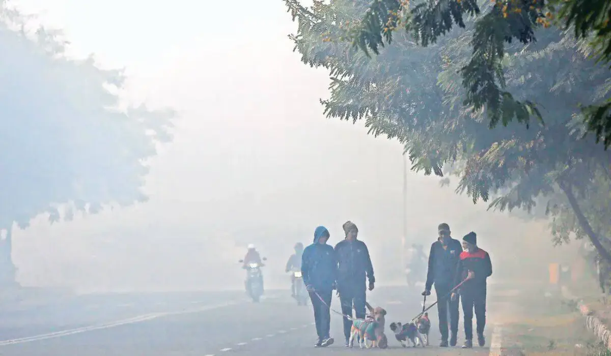 Delhi Weather: दिल्ली के मौसम में सर्दी की नई लहर, इस दिन से फिर पारा गिरेगा, पालम बना सबसे ठंडा इलाका