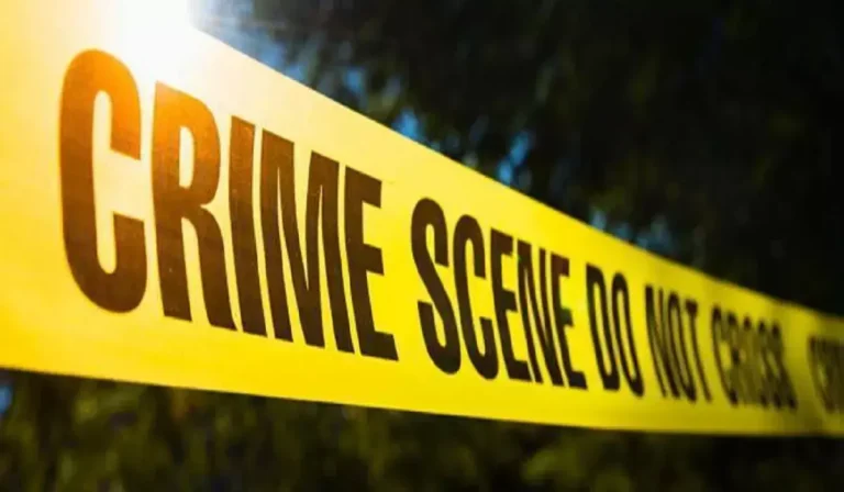 Delhi Crime: राजधानी में वारदात से सनसनी, युवक की बेरहमी से हत्या, पुलिस अलर्ट नाबालिग हत्यारा खुद कोर्ट पहुंचा