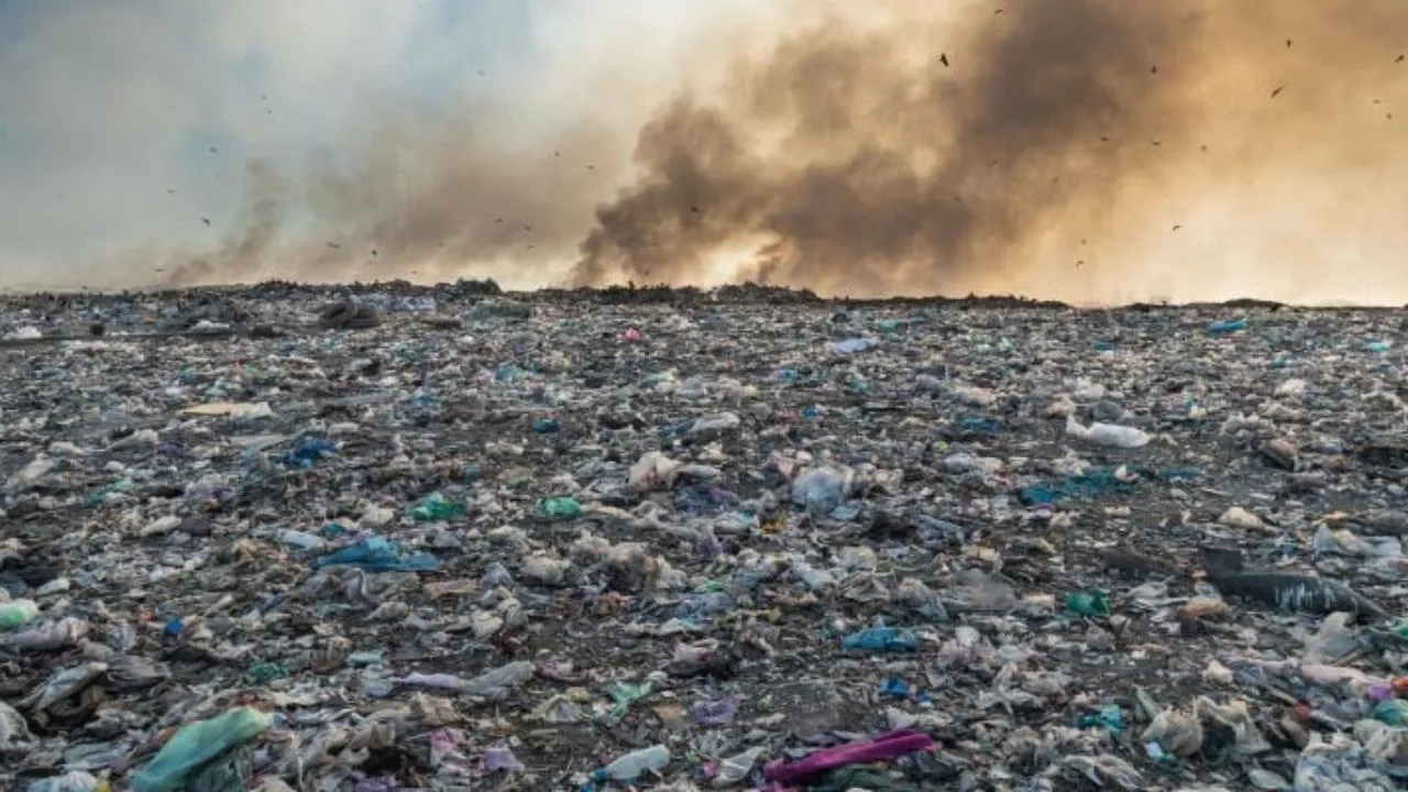Gurugram News: लैंडफिल की आग बनी चुनौती, क्या पर्यावरण सुरक्षा पर अब होगा बड़ा एक्शन?