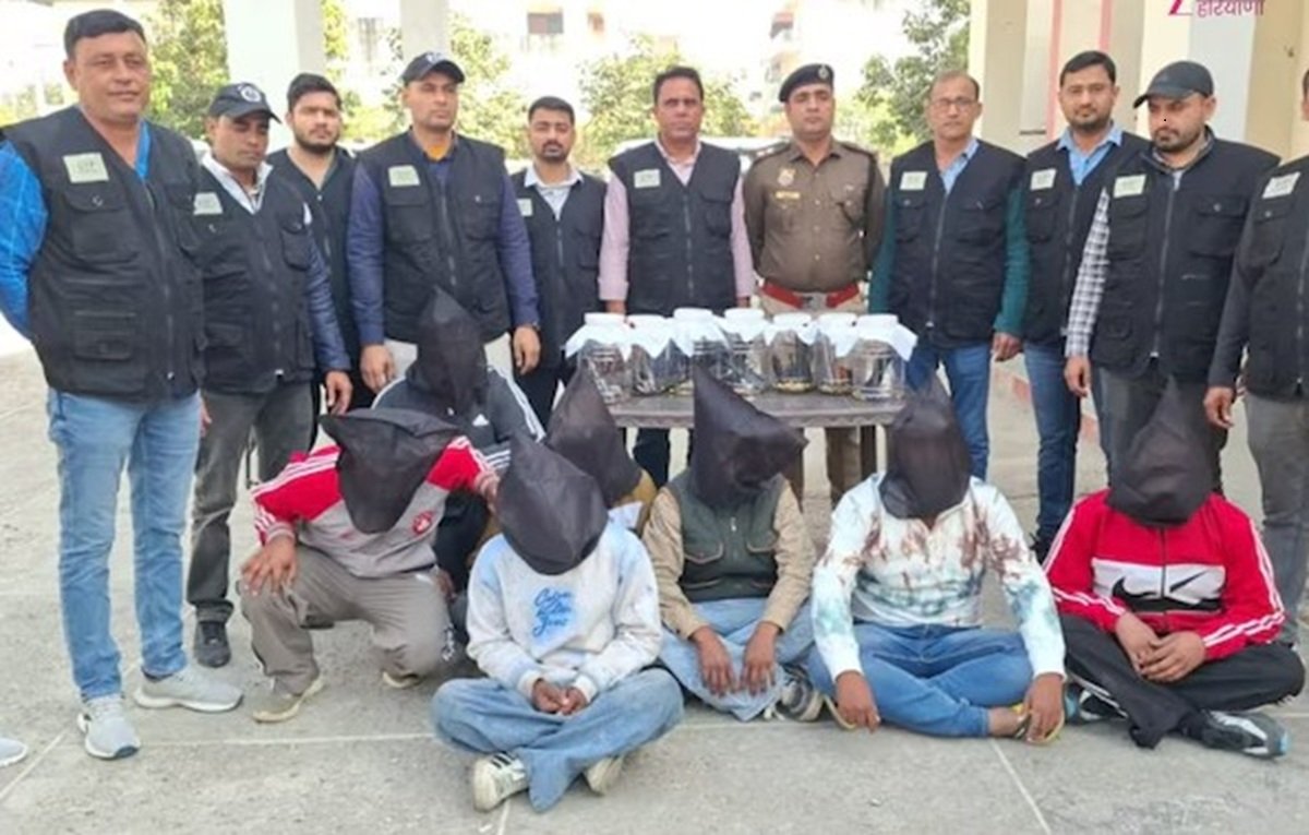 STF Sonipat की बडी कार्रवाई, कुख्यात रोहित गोदारा-नवीन बाक्सर गैंग के सात बदमाश गिरफ्तार