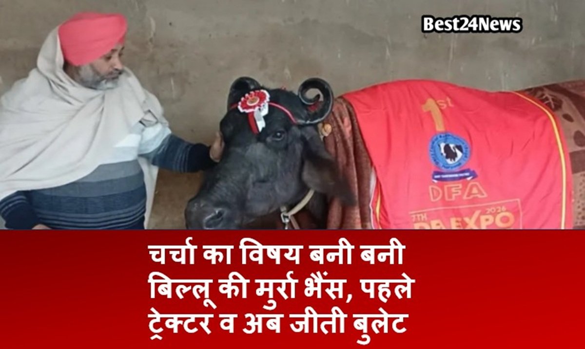 Haryana News: चर्चा का विषय बनी बनी बिल्लू की मुर्रा भैंस, पहले ट्रेक्टर व अब जीती बुलेट