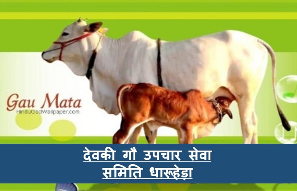 देवकी गौ उपचार सेवा संस्था, धारूहेड़ा