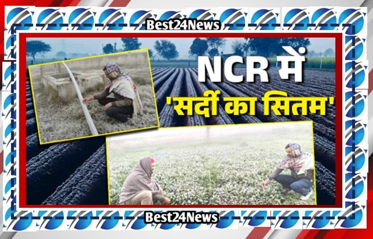 शीतलहर का अलर्ट, बर्फीली ठंड से दिल्ली एनसीआर हरियाणा के लोग कांपे , जाने कल कैसा रहेगा मौसम?