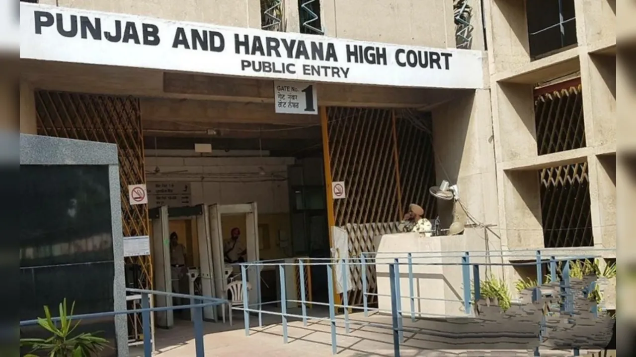 high court