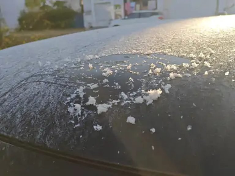 Haryana Weather: रेवाड़ी में रिकॉर्डतोड़ सर्दी, खेतों में बिछी बर्फ की चादर, जानिए कल कैसा रहेगा मौसम