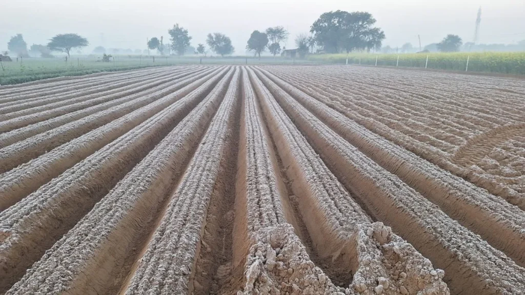 रेवाड़ी में कड़ाके की ठंड ने पिछले कई सालों का रिकॉर्ड तोड़ दिया है, न्यूनतम तापमान -0.6 डिग्री सेल्सियस तक गिर गया है
