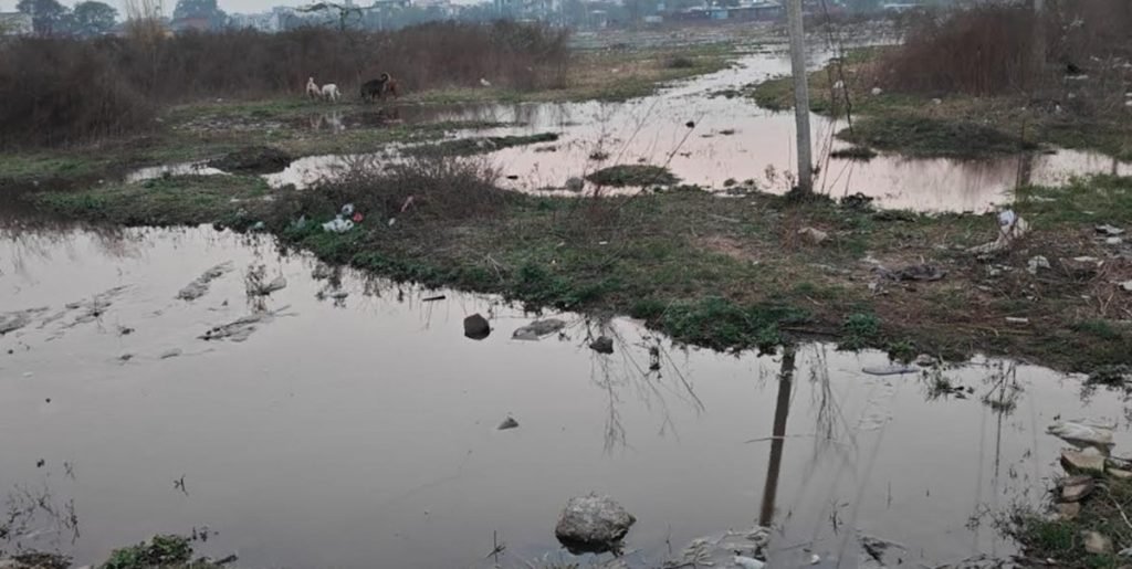 Haryana News: भिवाड़ी प्रशासन ने अपनाया नया पैतरा, चुपके से धारूहेड़ा में धकेला फिर काला पानी