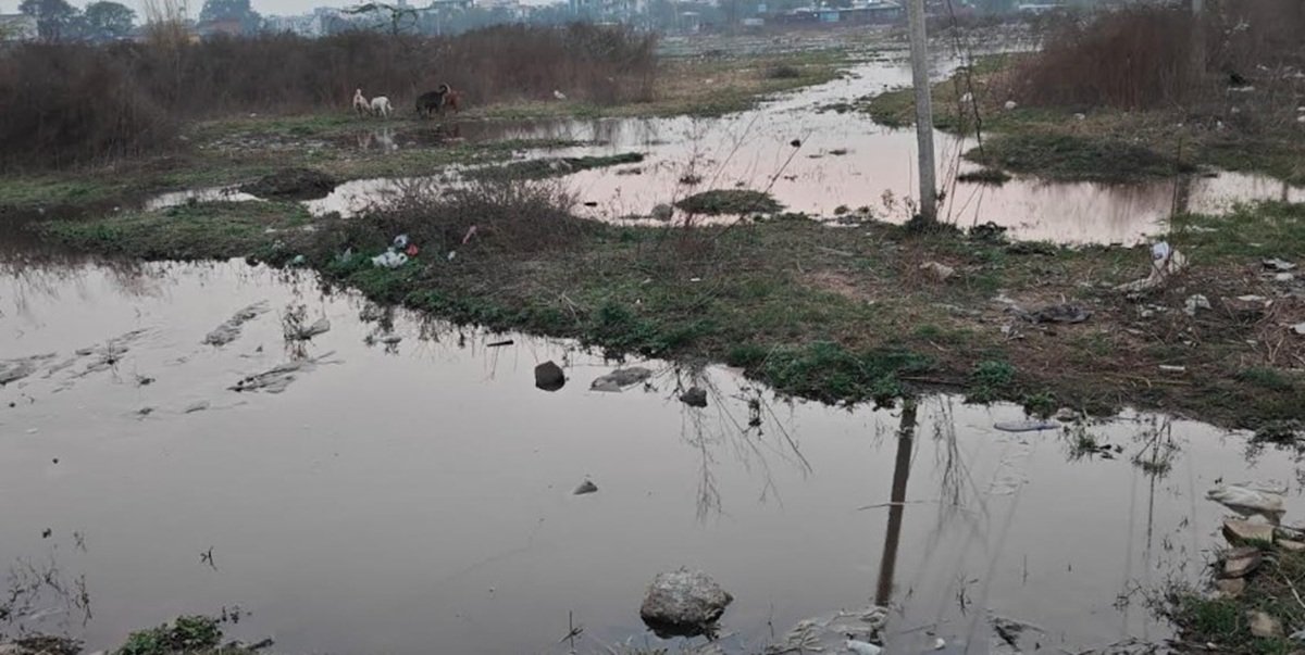 Haryana News: भिवाड़ी प्रशासन ने अपनाया नया पैतरा, चुपके से धारूहेड़ा में धकेला फिर काला पानी