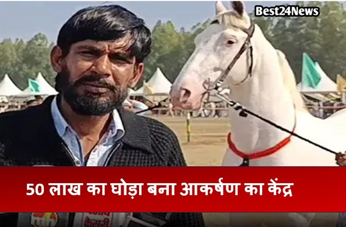 कुरुक्षेत्र पशु मेले में 50 लाख का नुकरा घोड़ा ‘बादशाह’ बना आकर्षण का केंद्र