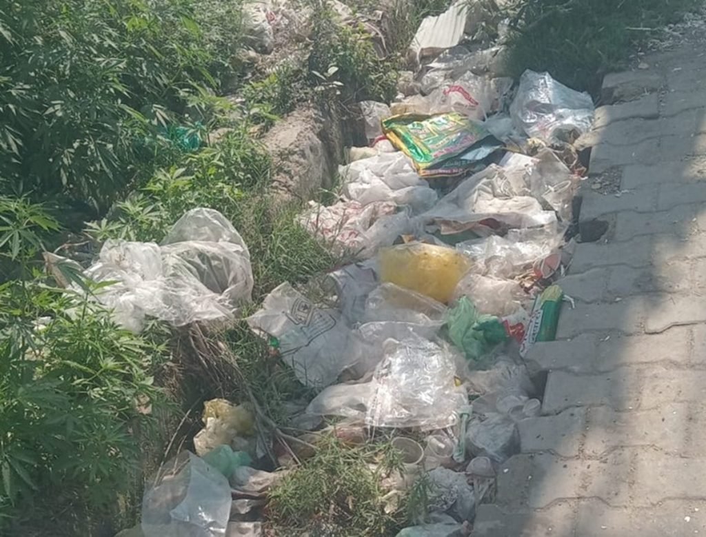 धारूहेड़ा में गंदगी से अटे नाले, सफाई अभियान केवल कागजो तक सिमटा