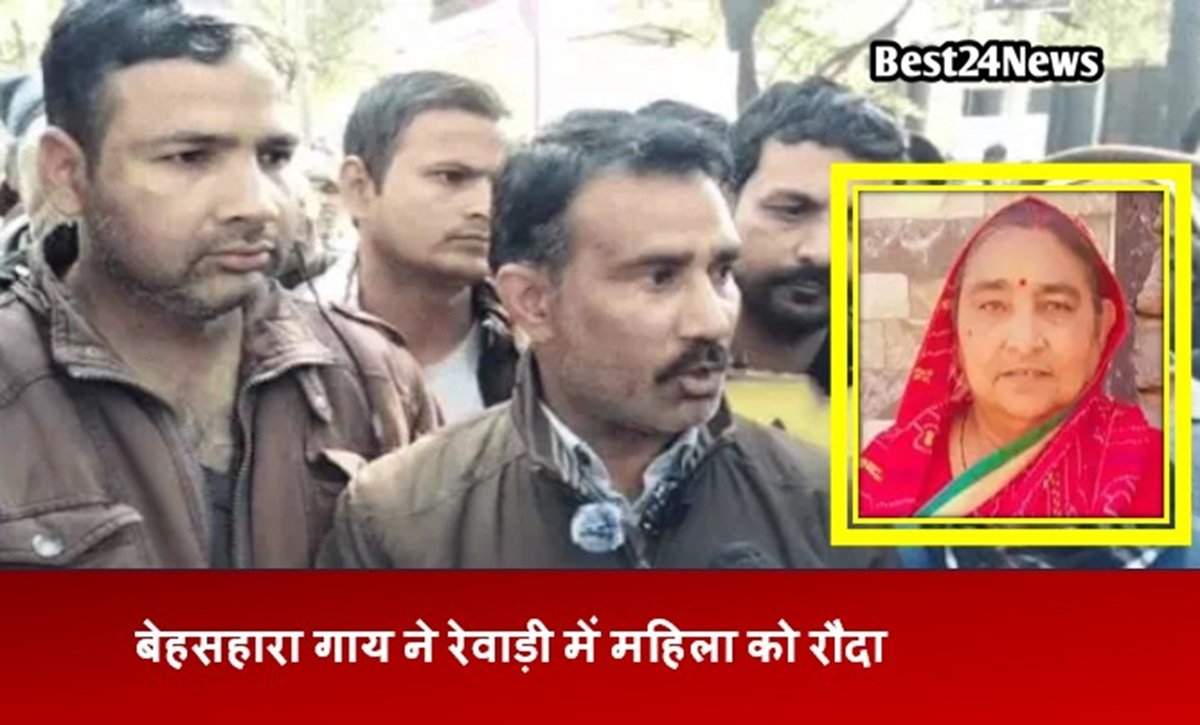 रेवाड़ी में बेसहारा गौवंशों का आंतक, फिर ले ली एक महिला की जान