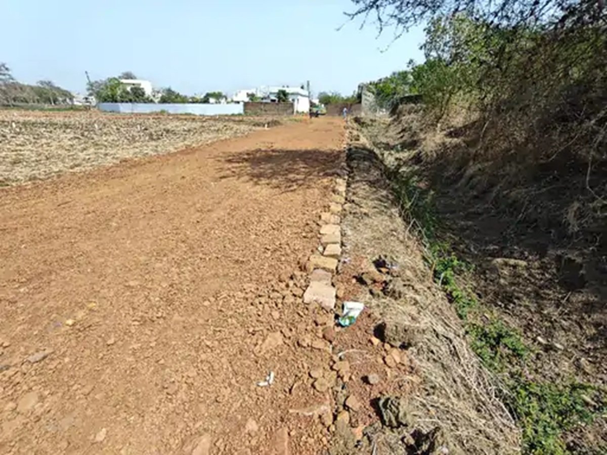 Haryana: रेवाड़ी में अवैध प्लोटिंग की हुई 70 रजिस्ट्रियां, डीटीपी की टूटी नीदं