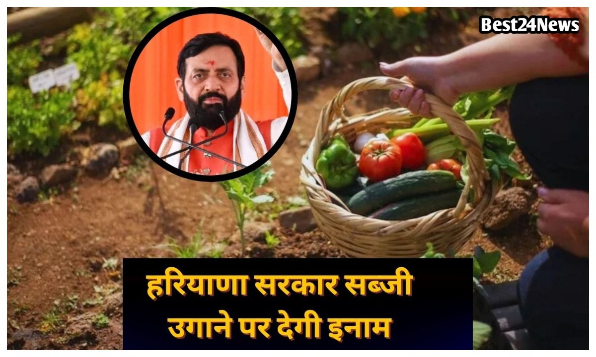 हरियाणा में सब्जी लगाने पर सरकार दे रही है इनाम