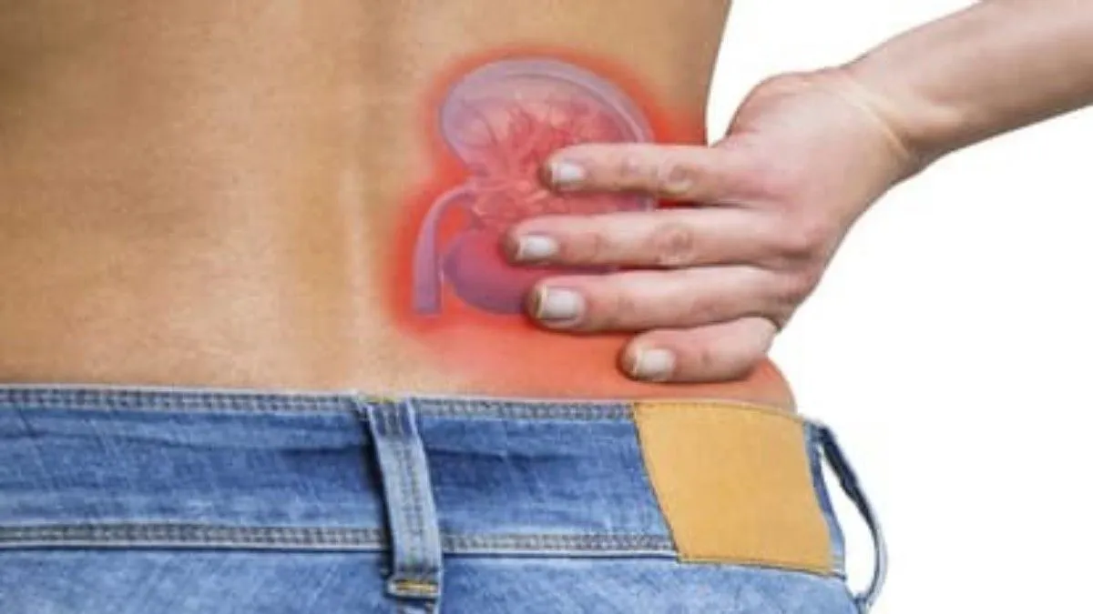 Rising Kidney Diseases in Haryana: Government Steps and the Need for Public Awareness