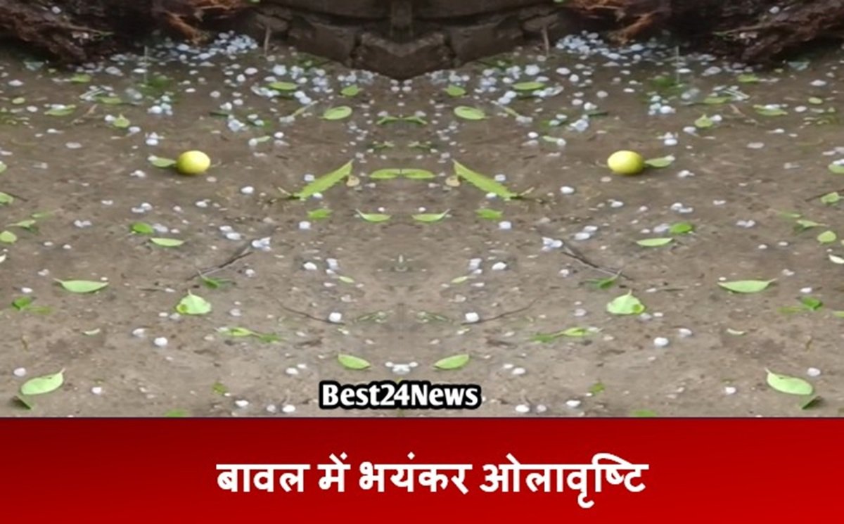 बावल में भयंकर ओलावृष्टि, किसानों की मेहनत पर फिर पानी