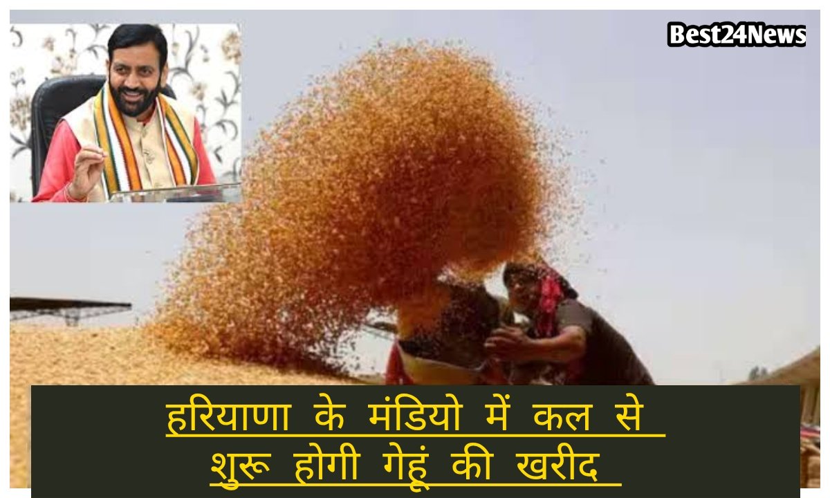हरियाणा के मंडियो में कल से शुरू होगी गेहूं की खरीद