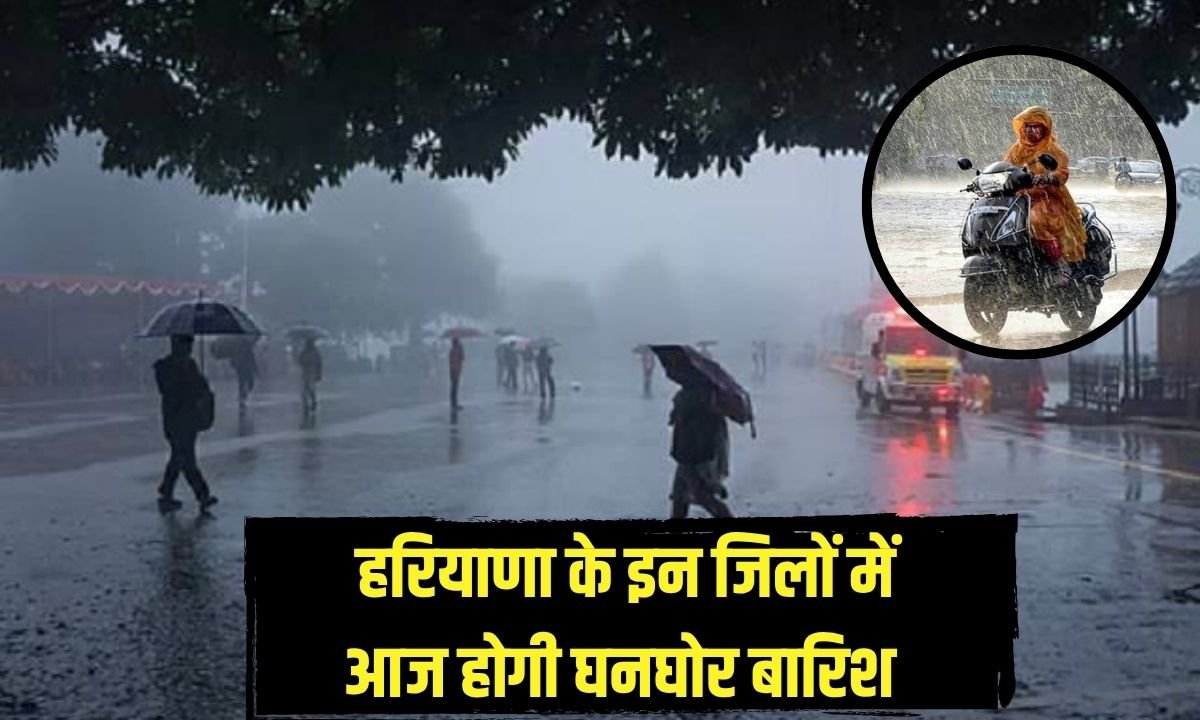 हरियाणा के इन 6 जिलों में तेज बारिश का अलर्ट