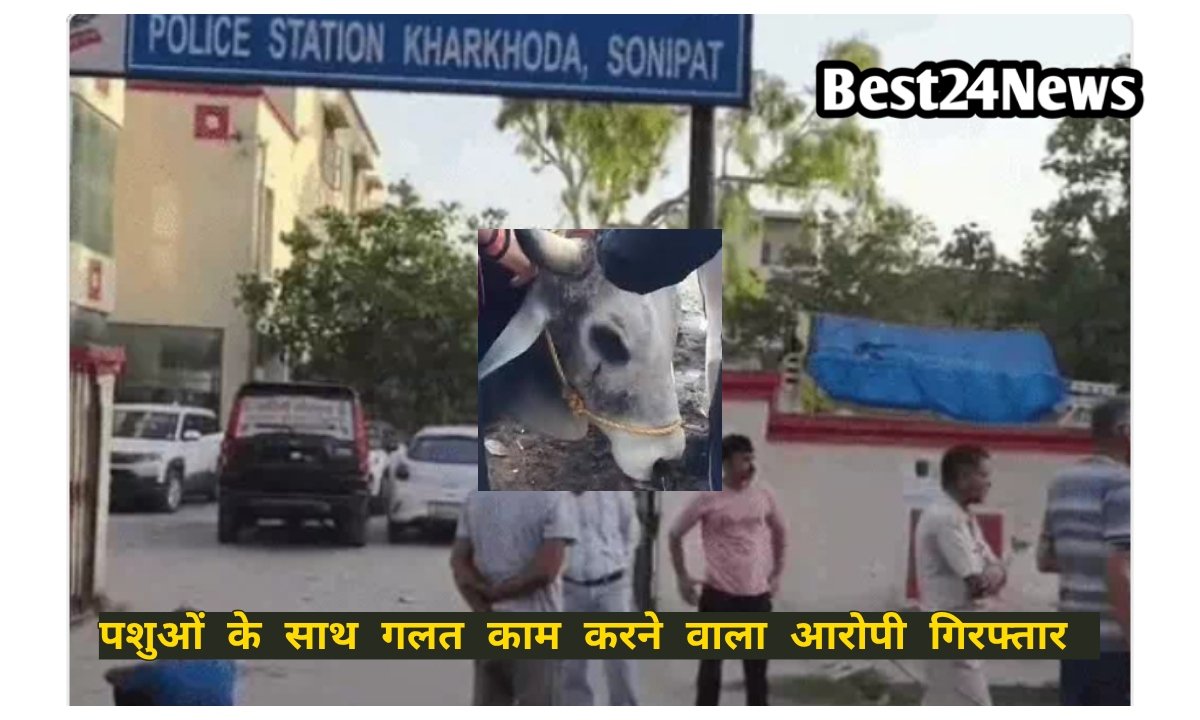 पशुओं के साथ हैवानियत कर रहा था युवक , घरवालों ने रंगेहाथ पकड़ा, केस दर्ज