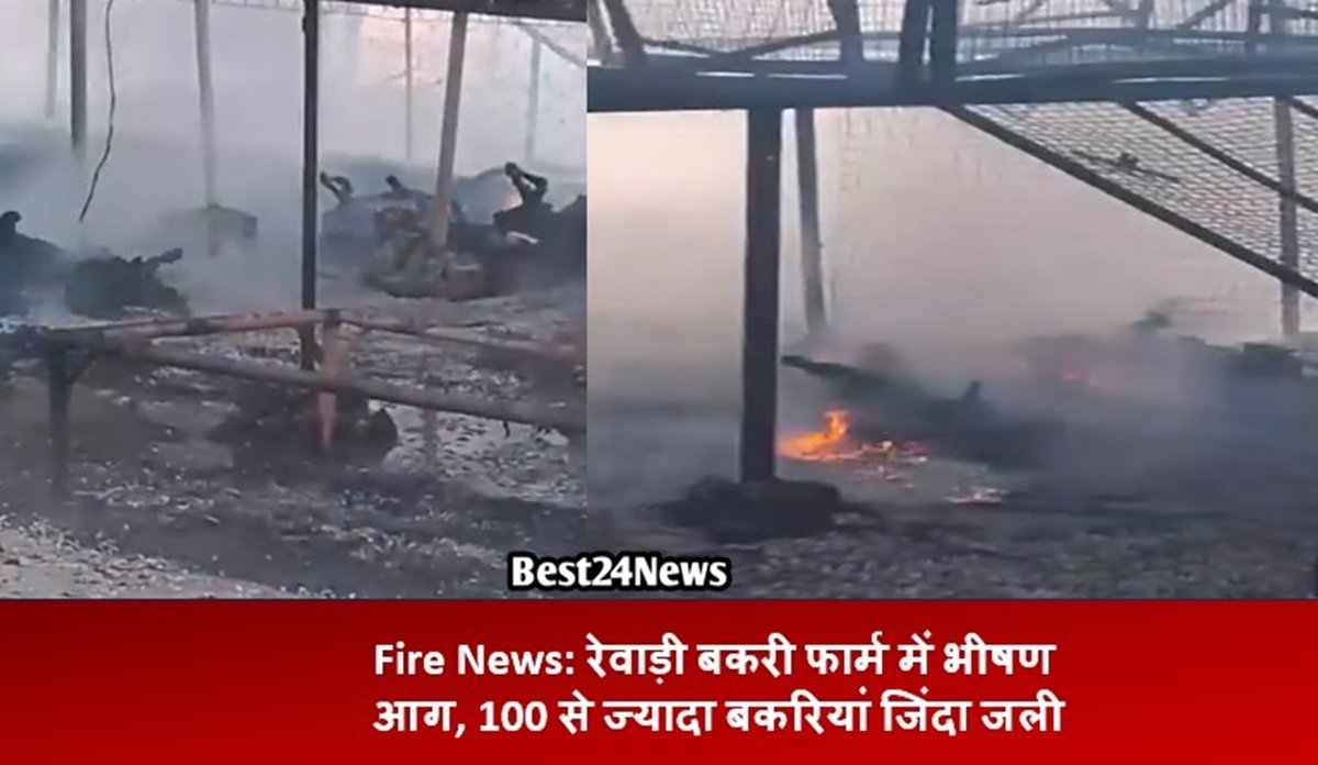 Fire News: रेवाड़ी बकरी फार्म में भीषण आग, 100 से ज्यादा बकरियां जिंदा जली