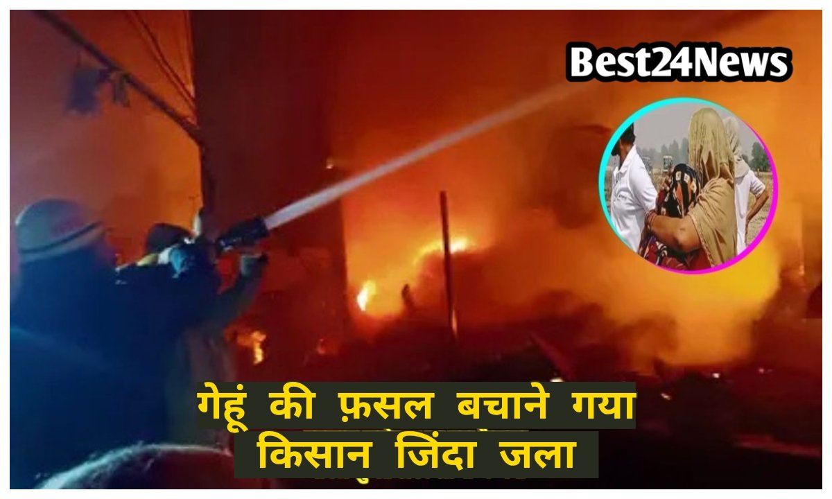 गेहूं की फसल बचाते समय आग में जिंदा जला किसान