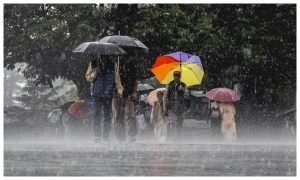 Haryana ka mausam: रेवाड़ी, हिसार सहित इन 16 जिलों में आज होगी आफत की बारिश, पढ़े मौसम विभाग का अलर्ट 1 Haryana ka mausam news