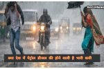 Haryana rain alert 1