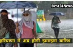 Haryana rain alert news