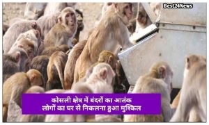 Rewari Breaking News: जिले में ड्रेस के नाम पर धांधली, तय दुकानों से खरीदने को मजबूर पैरेंट्स 1 Monkeys create panic in Kosli area