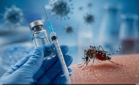 Launch of Dengue Vaccine in India:भारत में डेंगू वैक्सीन लॉन्च की तैयारी तेज जानें पूरी डिटेल