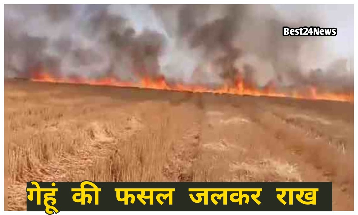 आग का तांडव, 4 एकड़ गेहूं जलकर राख