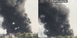 Fire News: धारूहेड़ा फैक्ट्री में में लगी भंयकर आग धारूहेड़ा इलेक्ट्रिक वेयरहाउस में लगी भंयकर आग