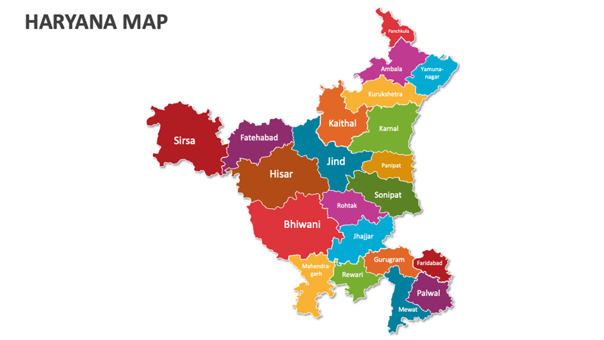 HARYANA NEWS
