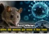 Hantavirus: कोरोना के बाद नया खतरा! हंता वायरस ने बढ़ाई टेंशन