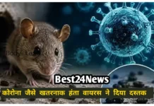 Hantavirus: कोरोना के बाद नया खतरा! हंता वायरस ने बढ़ाई टेंशन