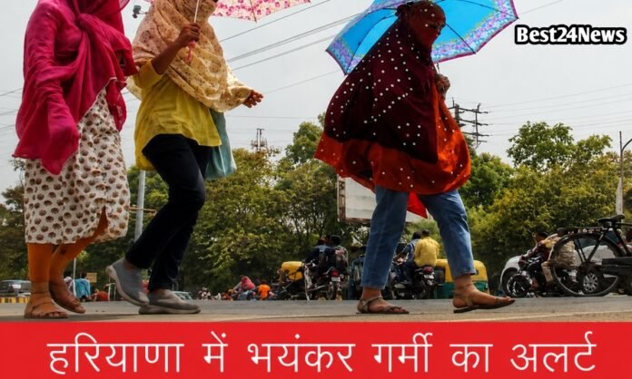 आज रेवाड़ी से भिवानी तक तपेगा आसमान, इन जिलों में 44 डिग्री पहुंचेगा तापमान