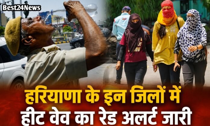 प्रदेश में भयंकर गर्मी का अलर्ट, इन 6 जिलों में रेड अलर्ट, पढ़े IMD का अलर्ट