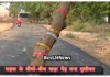 Fatehabad Road News: सड़क बन गई, पेड़ नहीं हटा! फतेहाबाद में विभागों की बड़ी लापरवाही
