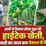 Rewari News: आर्मी से रिटायर होकर शुरू की हाईटेक खेती, आज रेवाड़ी का लाल बना देशभर में मिसाल आर्मी से रिटायर होकर शुरू की हाईटेक खेती, आज रेवाड़ी का लाल बना देशभर में मिसाल