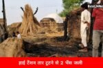 हाईटेंशन तार टूटने से लगी आग, दो भैंसों की मौत