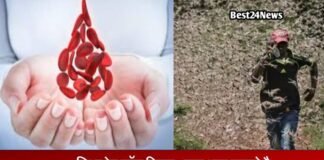 World Red Cross Day: क्या आप जानते है क्यों मनाया जाता है आज ये दिवस ? World Red Cross Day