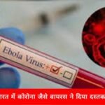 कोरोना जैसे वायरस ने दी दस्तक, हवाई यात्रियों के लिए Covid जैसे प्रोटोकॉल लागू