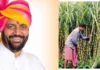 Haryana News: गन्ना किसानों की लगी लॉटरी, सरकार ने इतने रुपए बढ़ाई प्रोत्साहन राशि गन्ना किसानों की लगी लॉटरी, सरकार ने इतने रुपए बढ़ाई प्रोत्साहन राशि