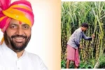 गन्ना किसानों की लगी लॉटरी, सरकार ने इतने रुपए बढ़ाई प्रोत्साहन राशि